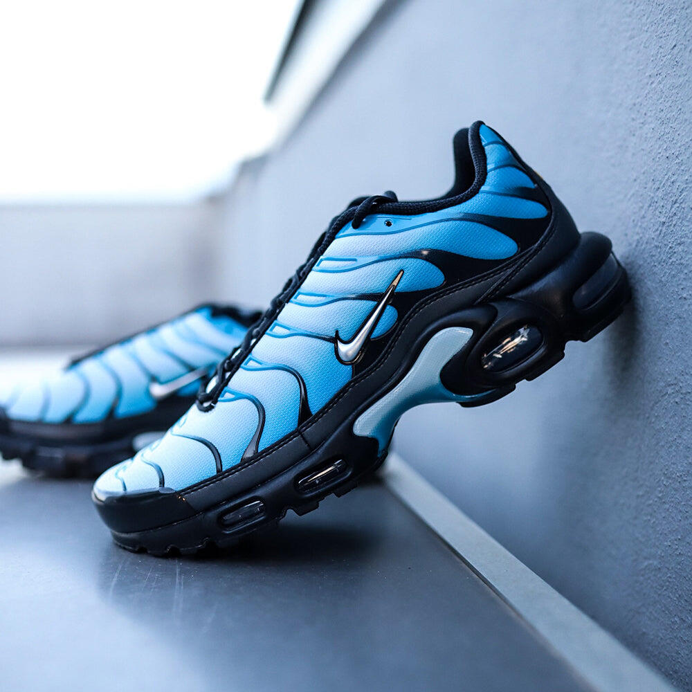 Air Max Plus Blue Gradient - Taille : 44.5 EU 7/7