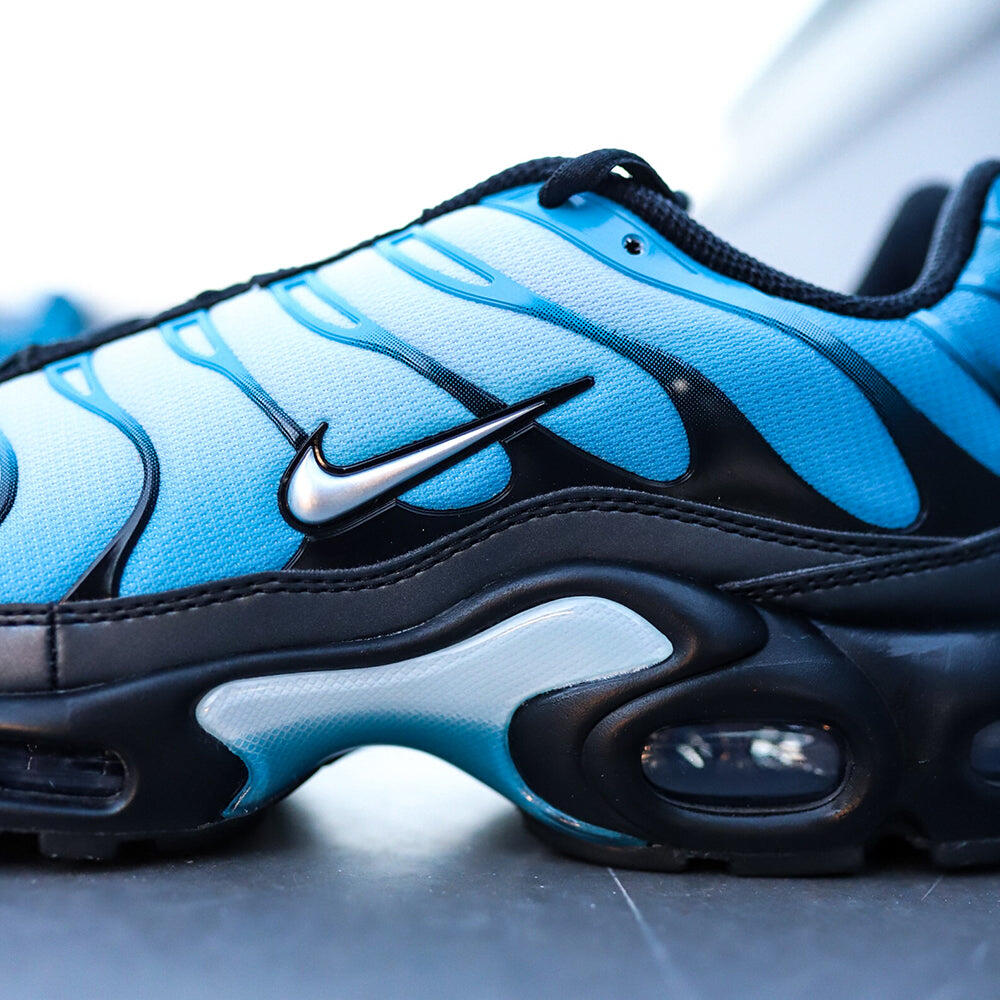 Air Max Plus Blue Gradient - Taille : 44.5 EU 5/7