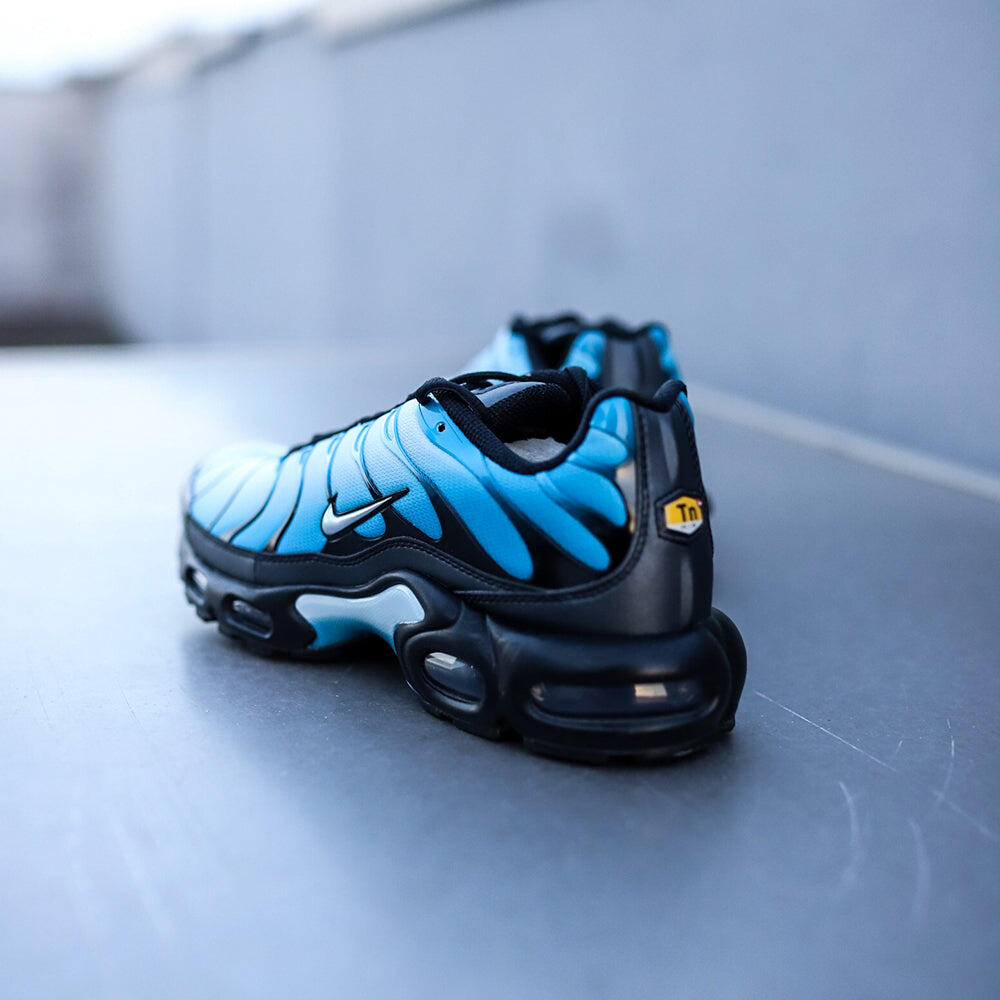 Nike Air Max Plus TN Blue Gradient NIKE | Decathlon