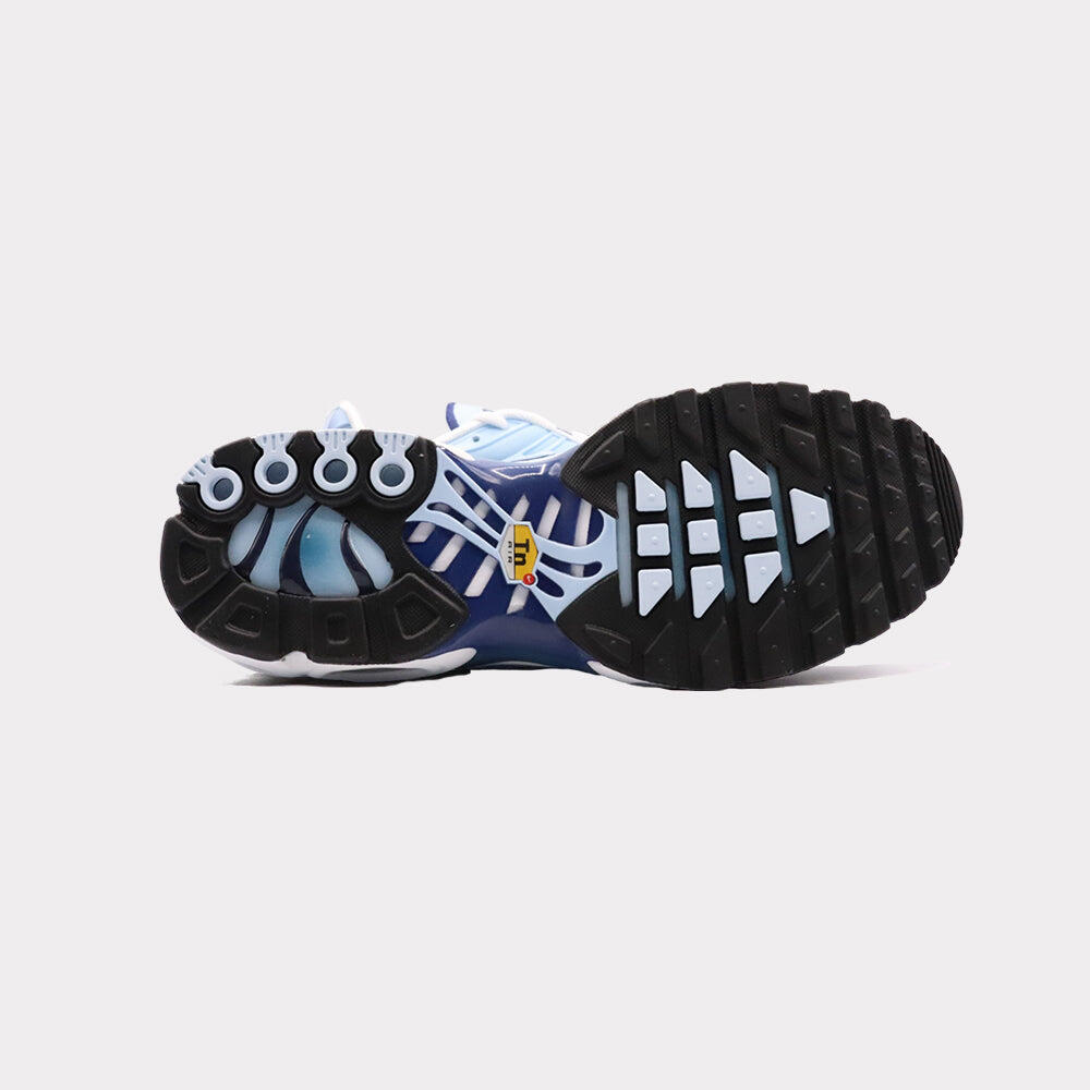 Nike Air Max Plus University Blue Gradient 4/7