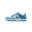 Basket Nike DUNK LO GS