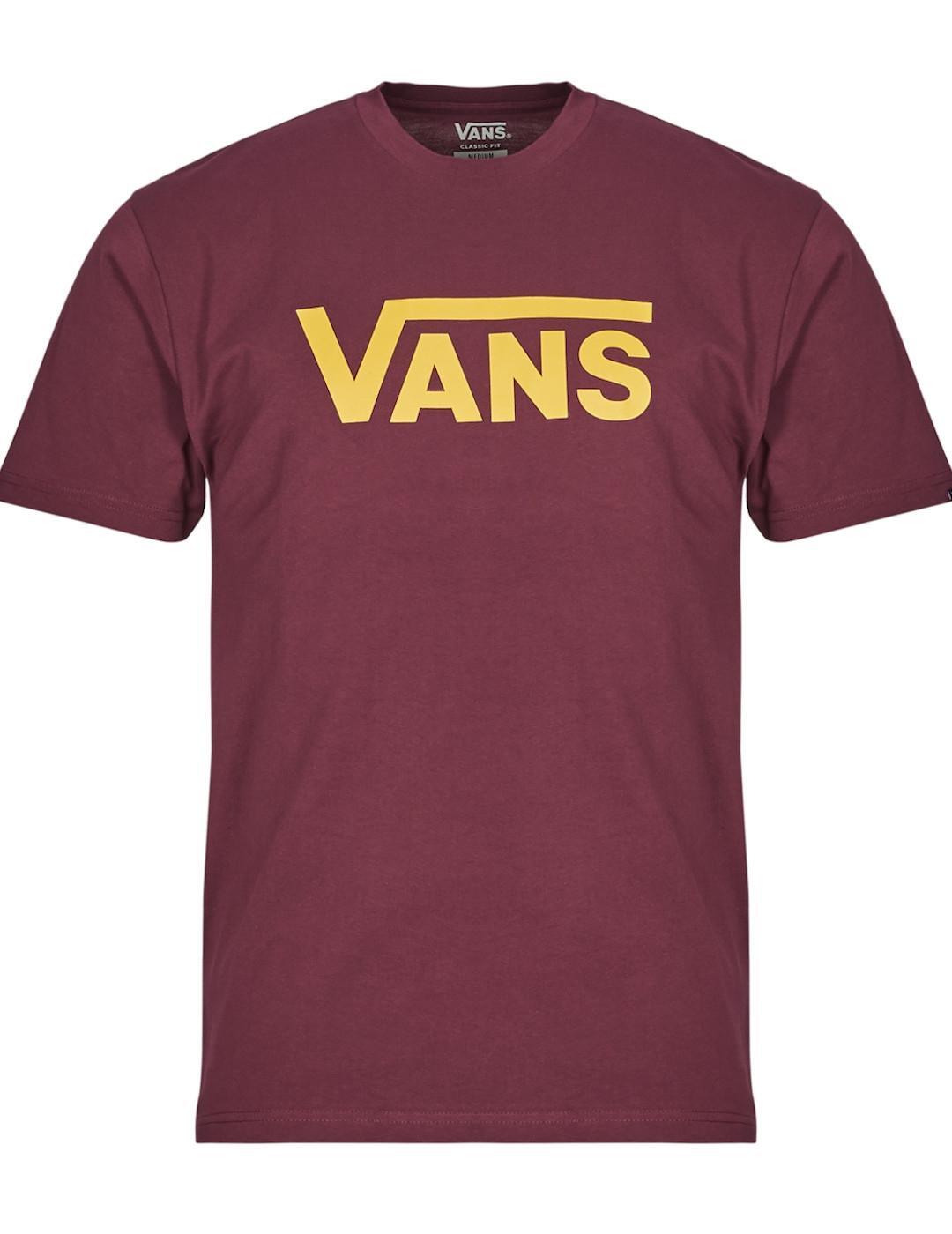 VANS picture