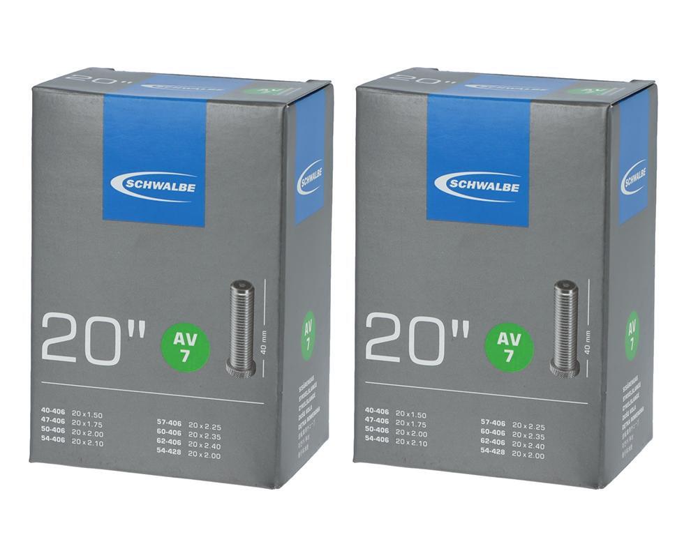 SCHWALBE picture