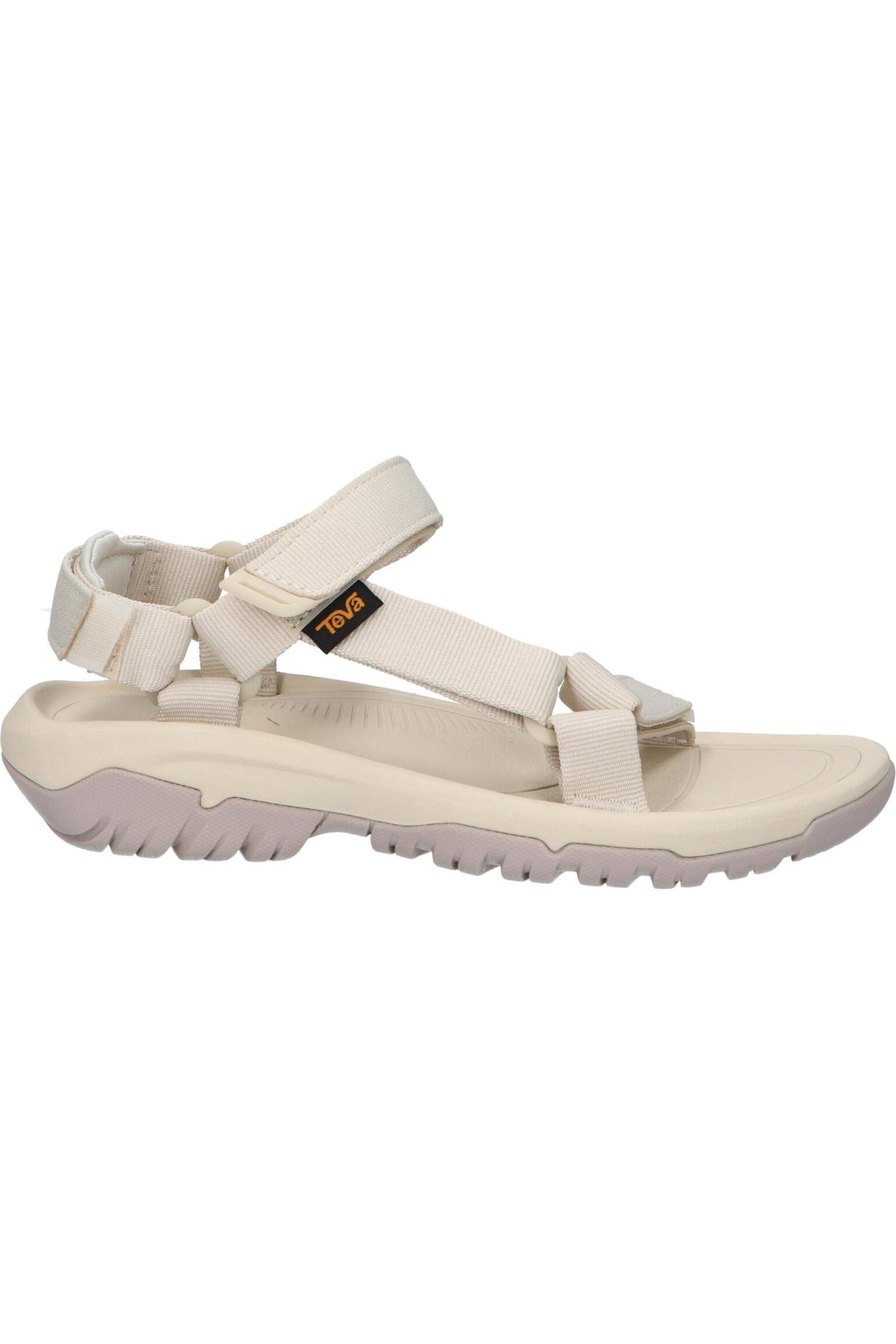 TEVA picture