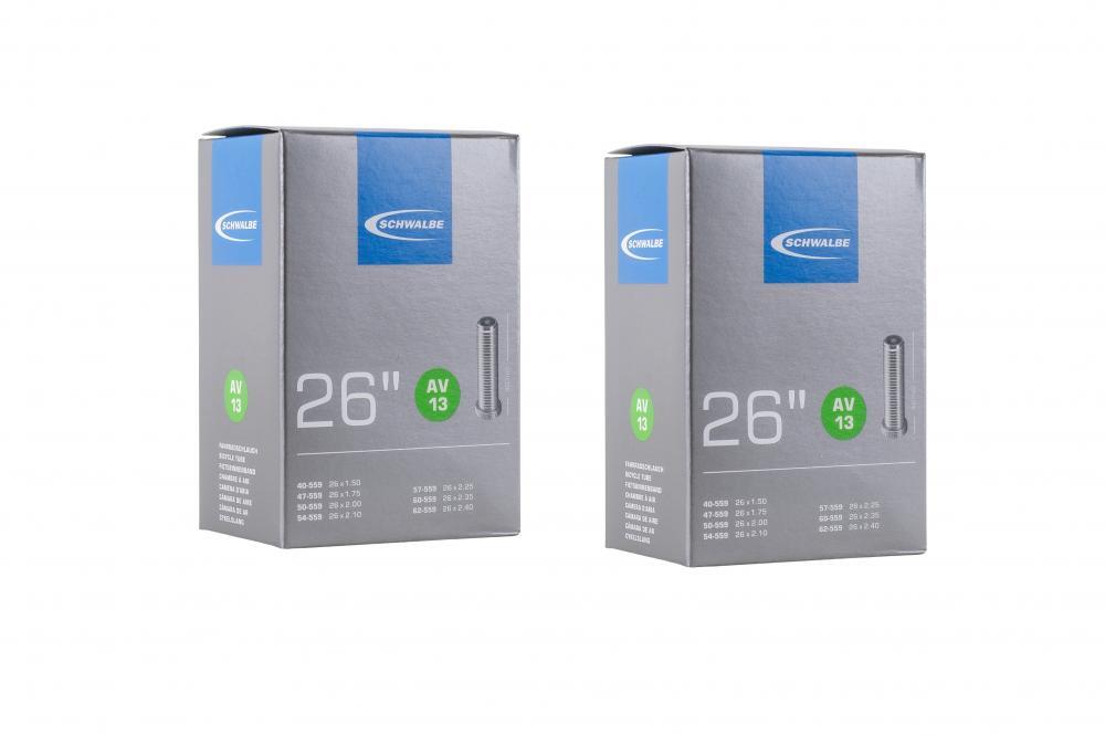 SCHWALBE picture