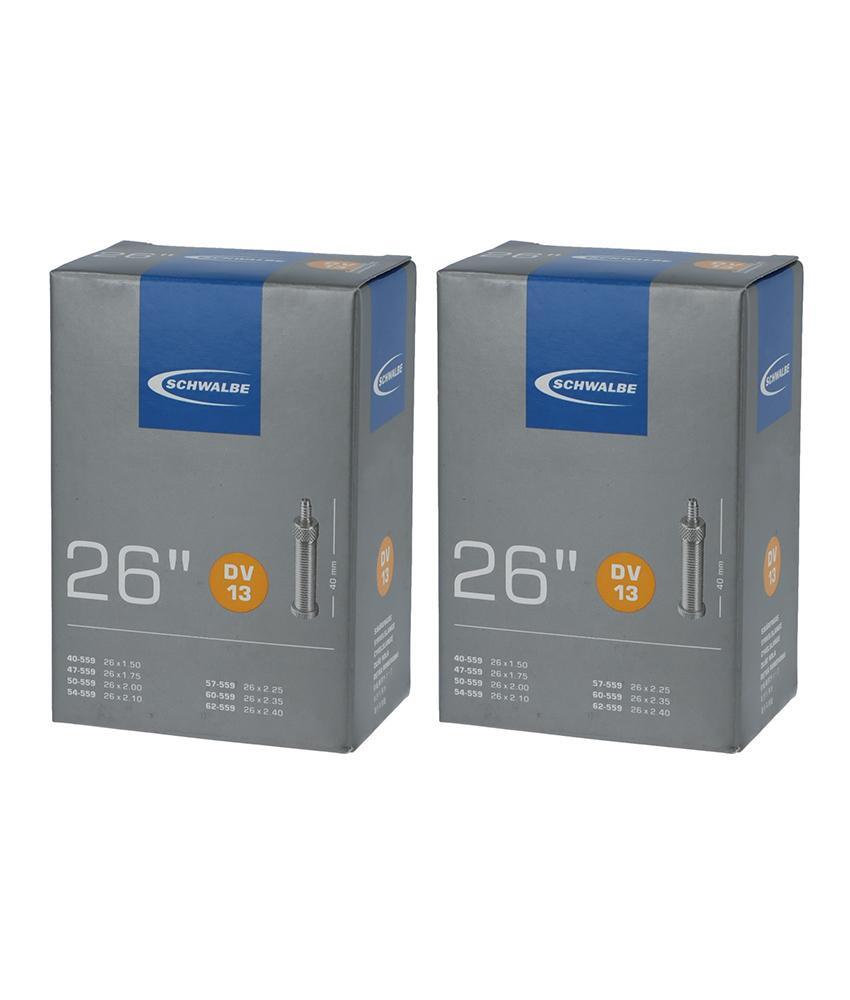 SCHWALBE picture