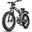 Bicicletă electrică de munte ENGWE X24 cu baterie dublă 29.2AH