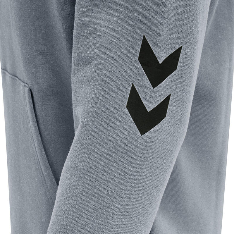 Sweatshirt à capuche Hummel hmlLGC graham