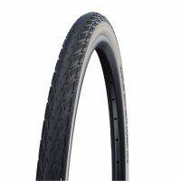 SCHWALBE picture