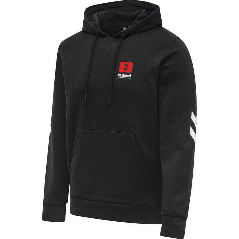 Felpa con cappuccio Hummel hmlLGC graham