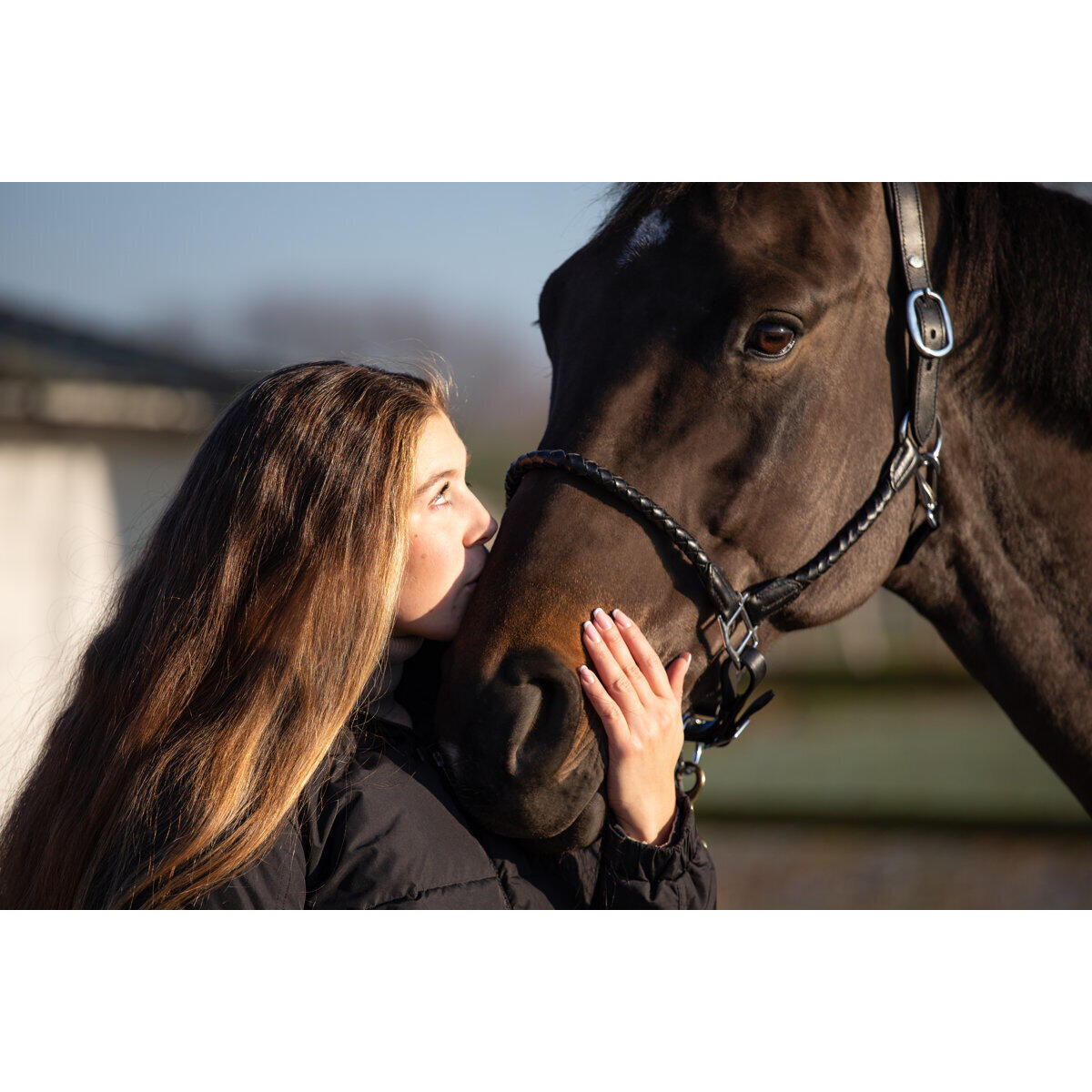 Leather halter for horses HFI Braided 4/5