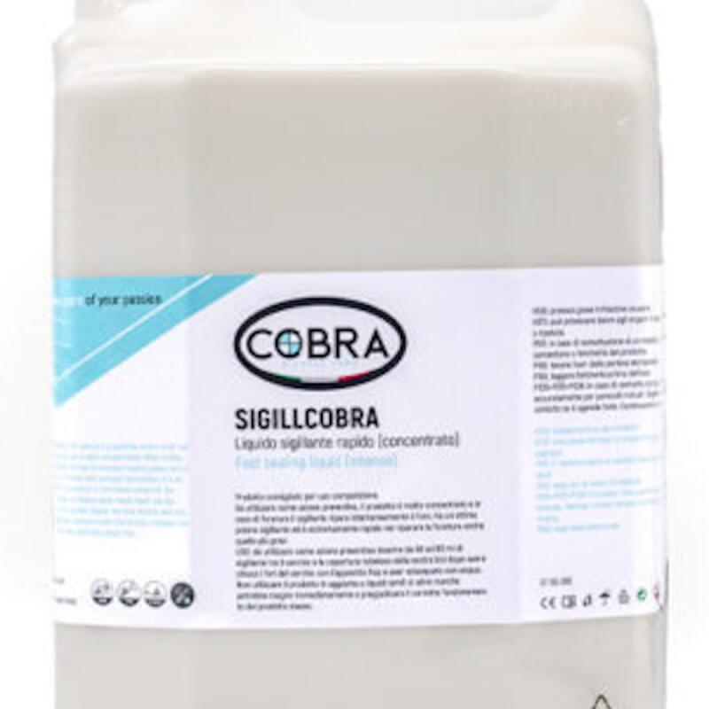LIQUIDO ANTIPINCHAZOS ROTO-SIGILL ROTO 5L 2/3