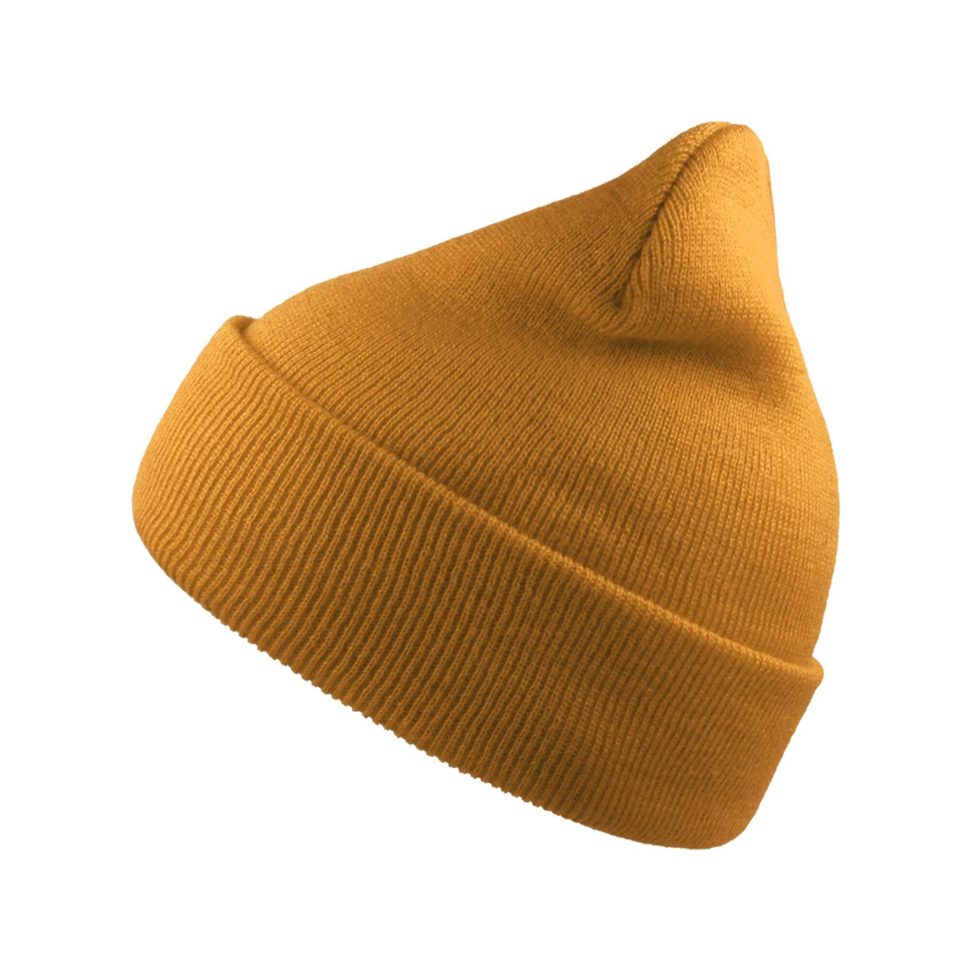 Atlantis Unisex Adult Wind Recycled Cuffed Beanie