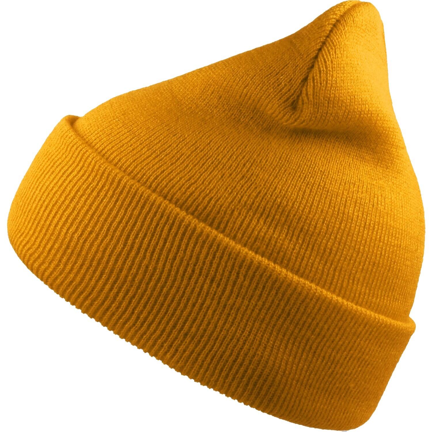 Atlantis Unisex Adult Wind Recycled Cuffed Beanie