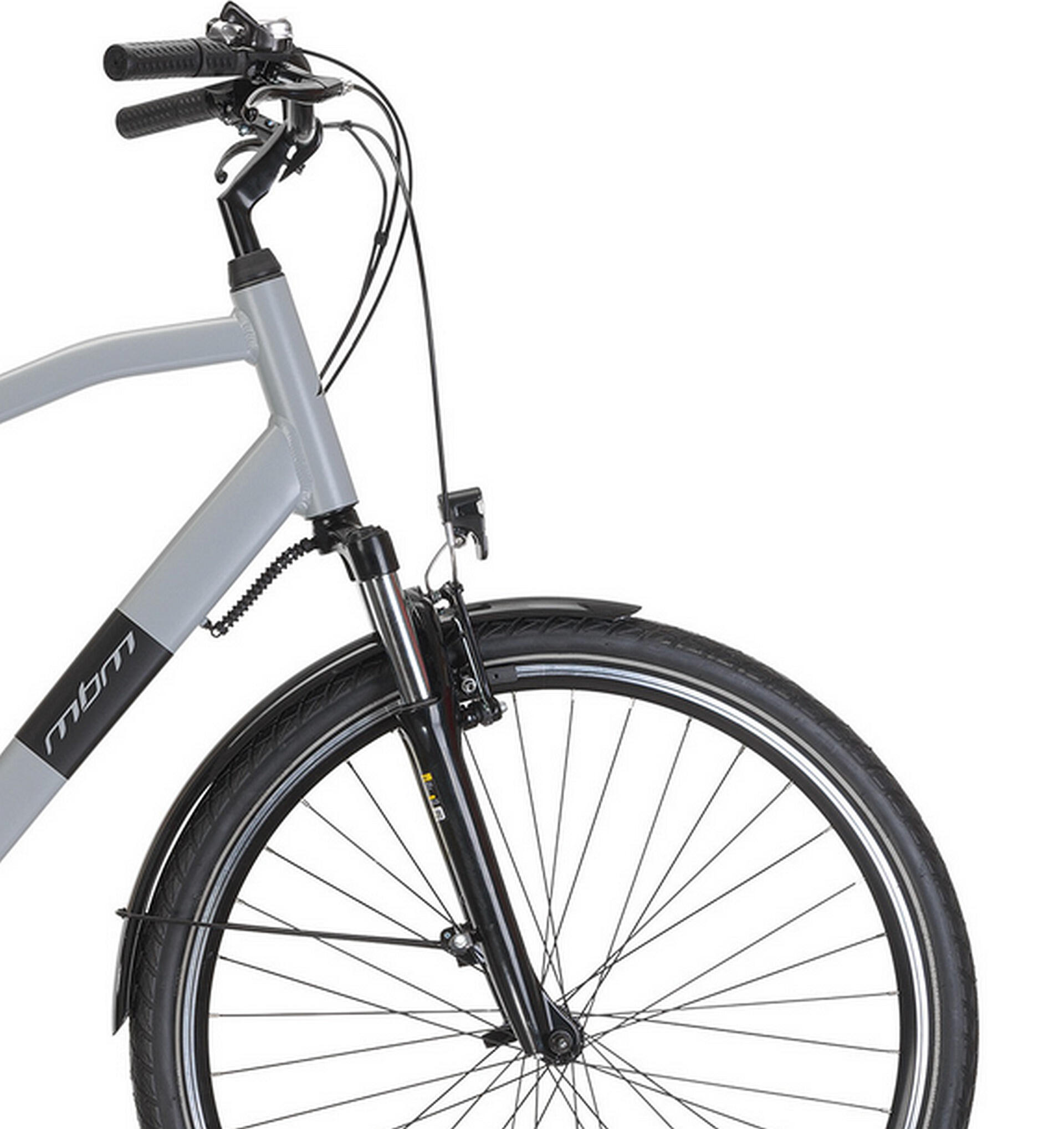 Elektrische stadsfiets RHEA MAN 28 inch, grijs 2/4