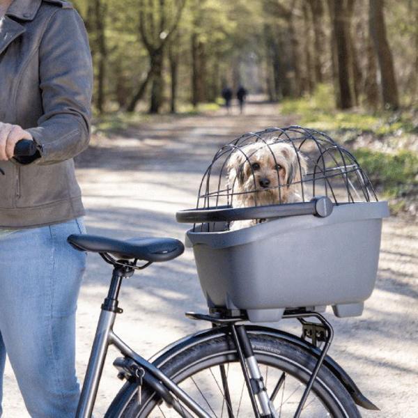 Ensemble LOOXS CLIPPER pour animaux de compagnie - Noir 2/6