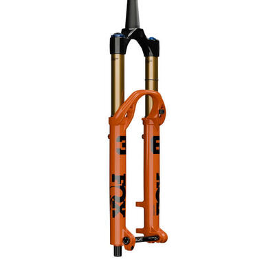 Forcella 36 FLOAT 29" Factory 160 Grip X2