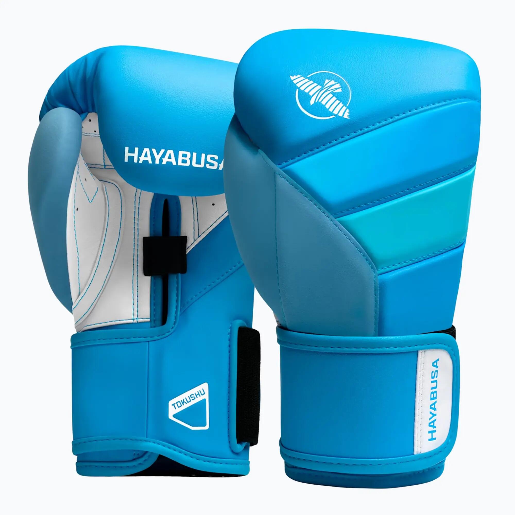 HAYABUSA picture