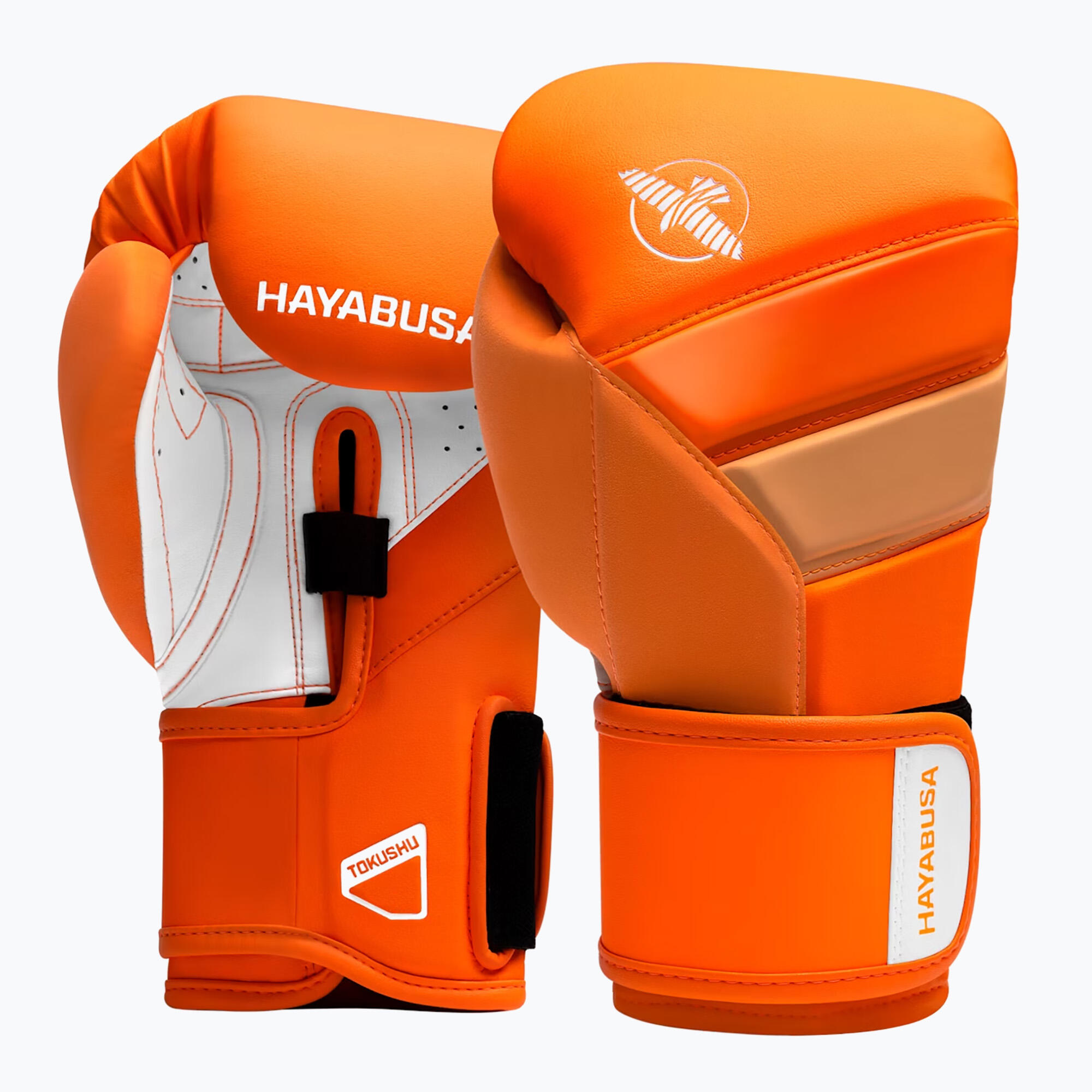 HAYABUSA picture