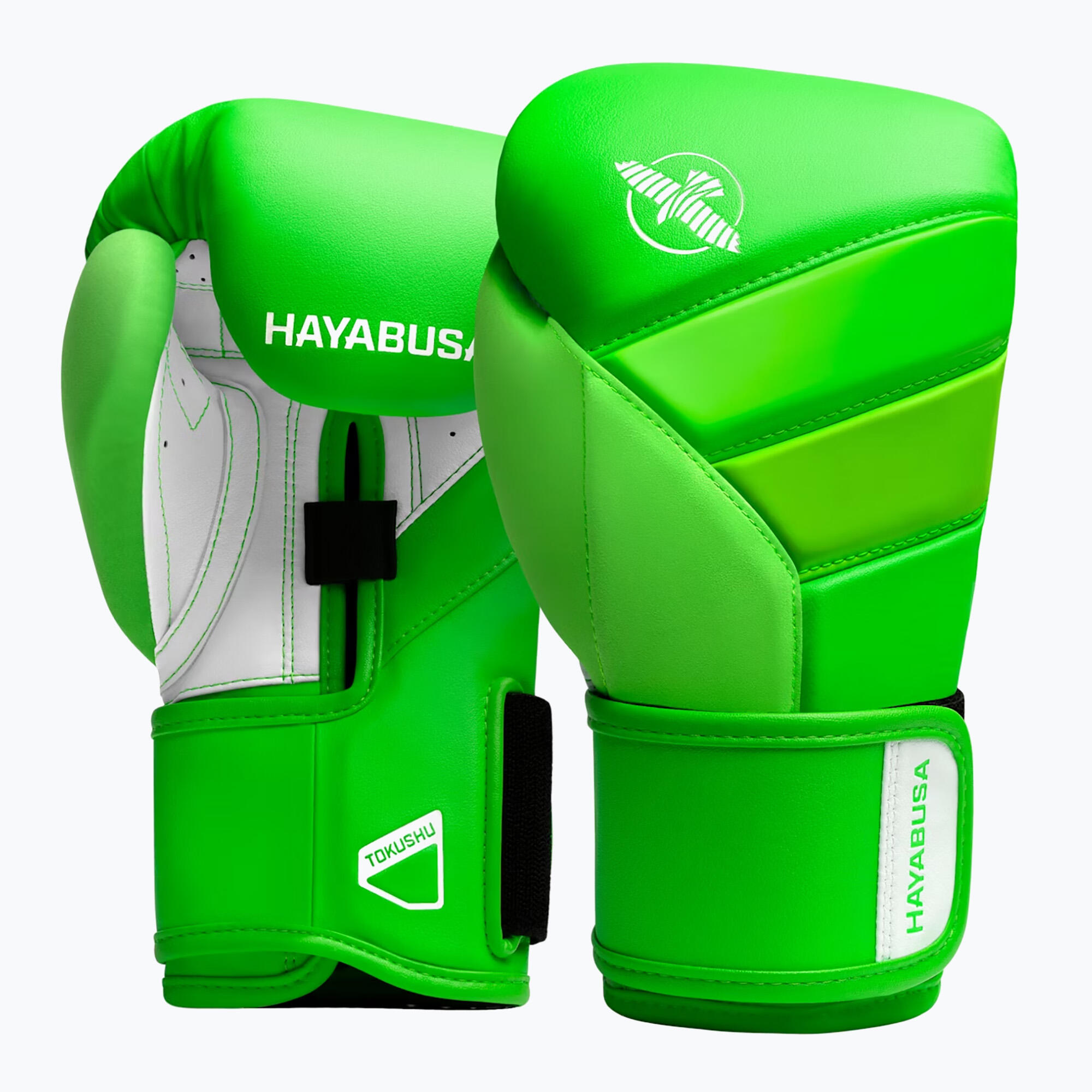 HAYABUSA picture