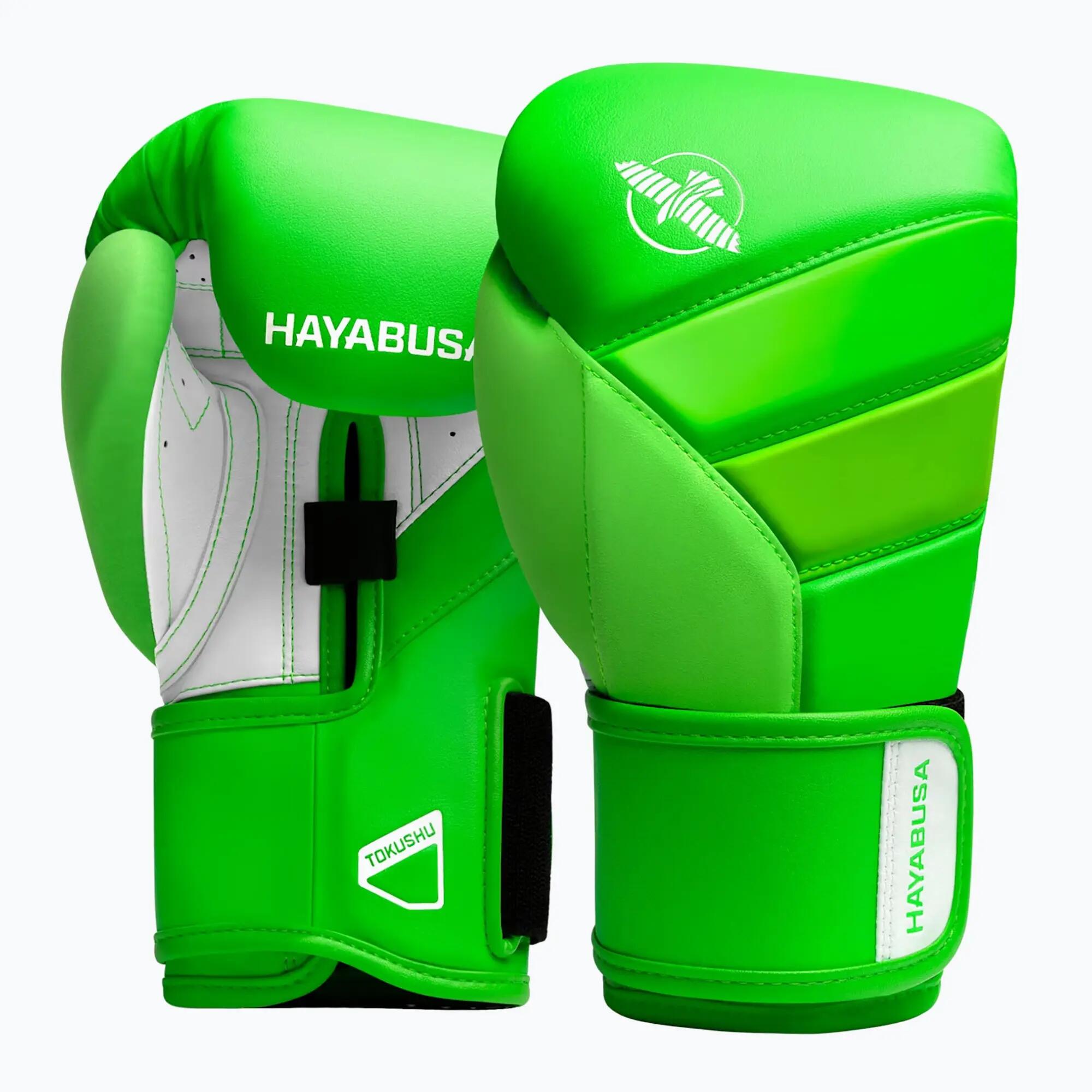 HAYABUSA picture