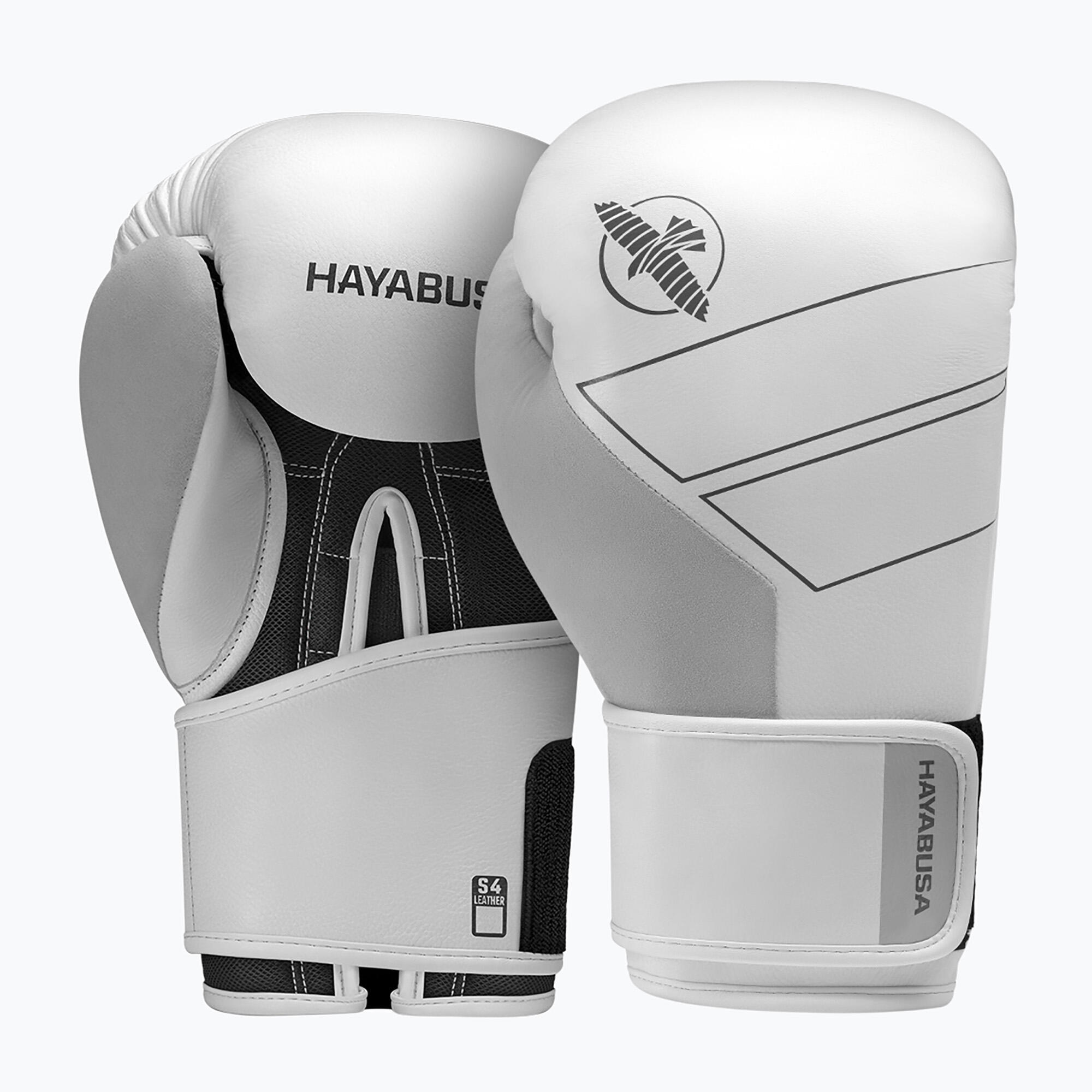 HAYABUSA picture