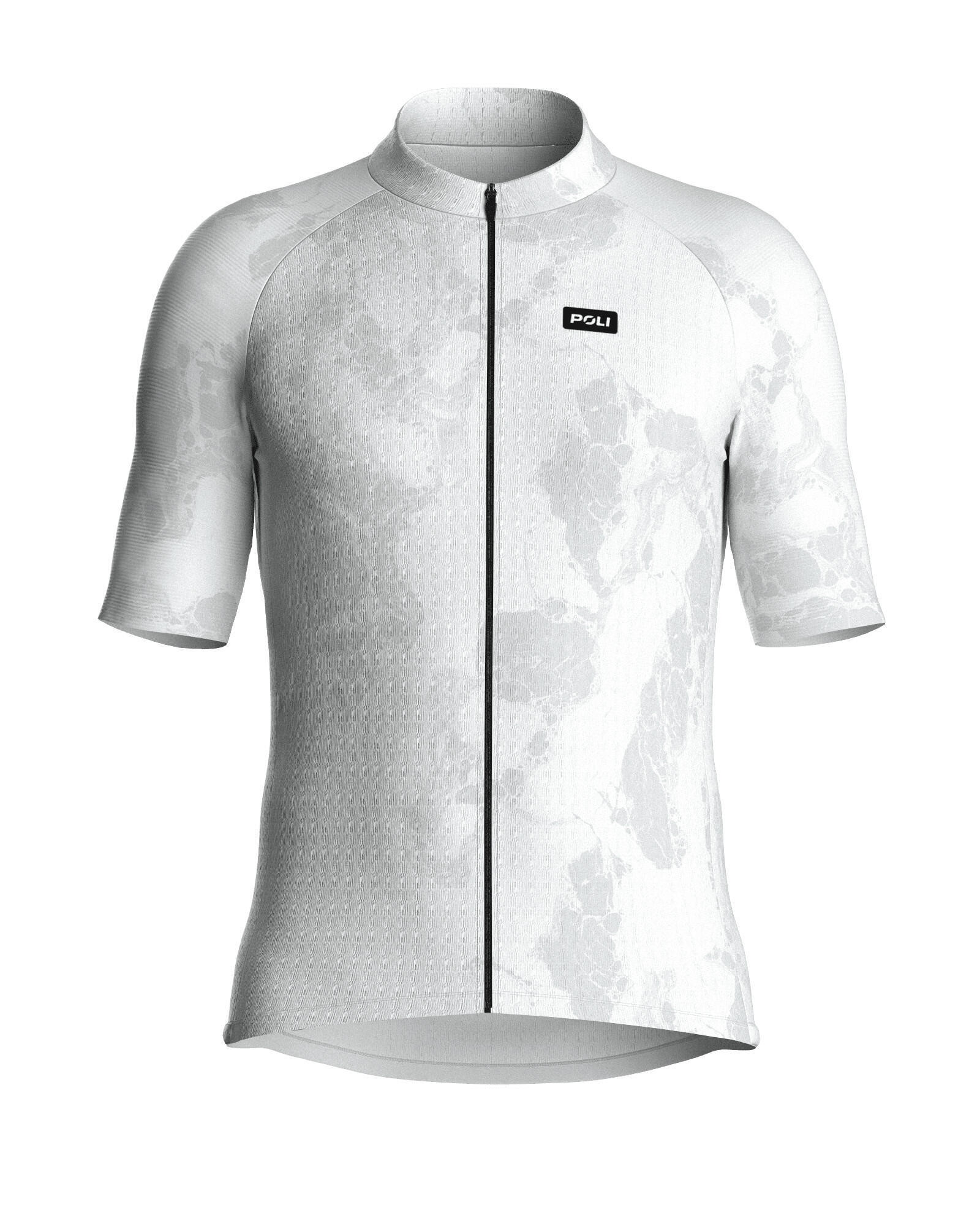 POLI picture