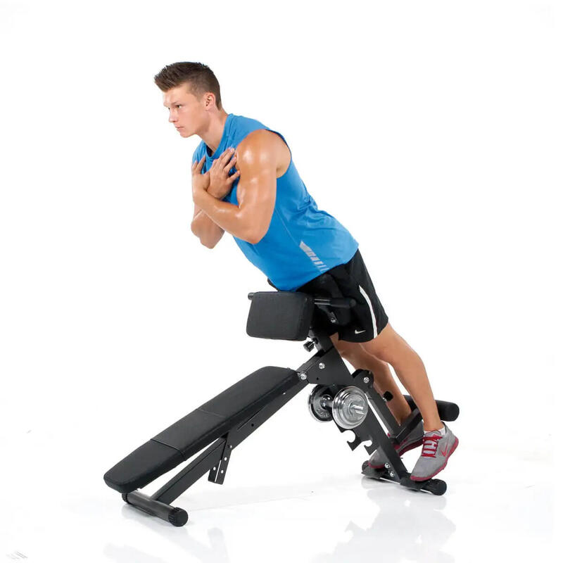 Posilovací lavice FINNLO AB and BACK Trainer