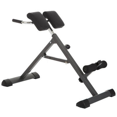 Panca Lombari Hammer Tricon Back Trainer