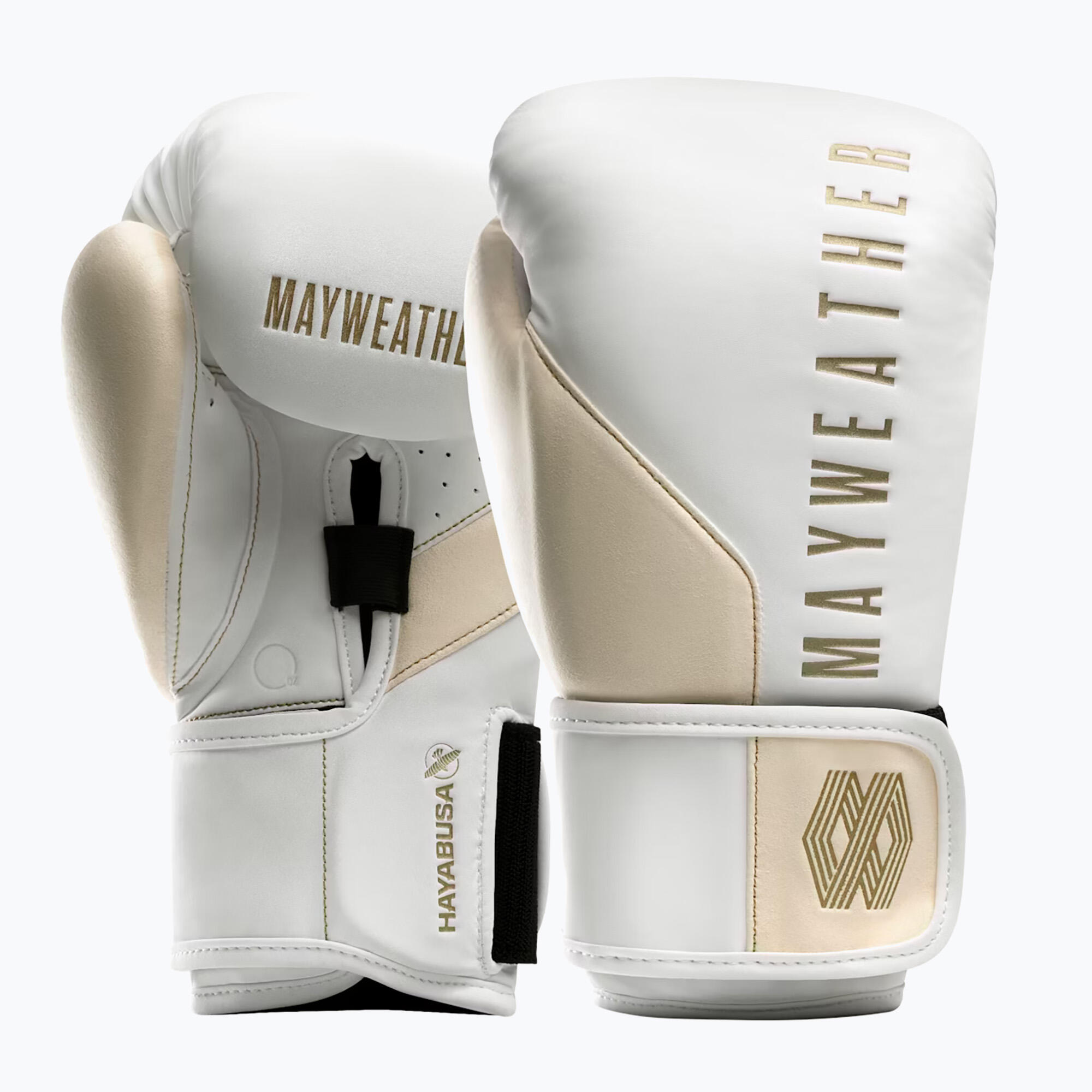 HAYABUSA picture