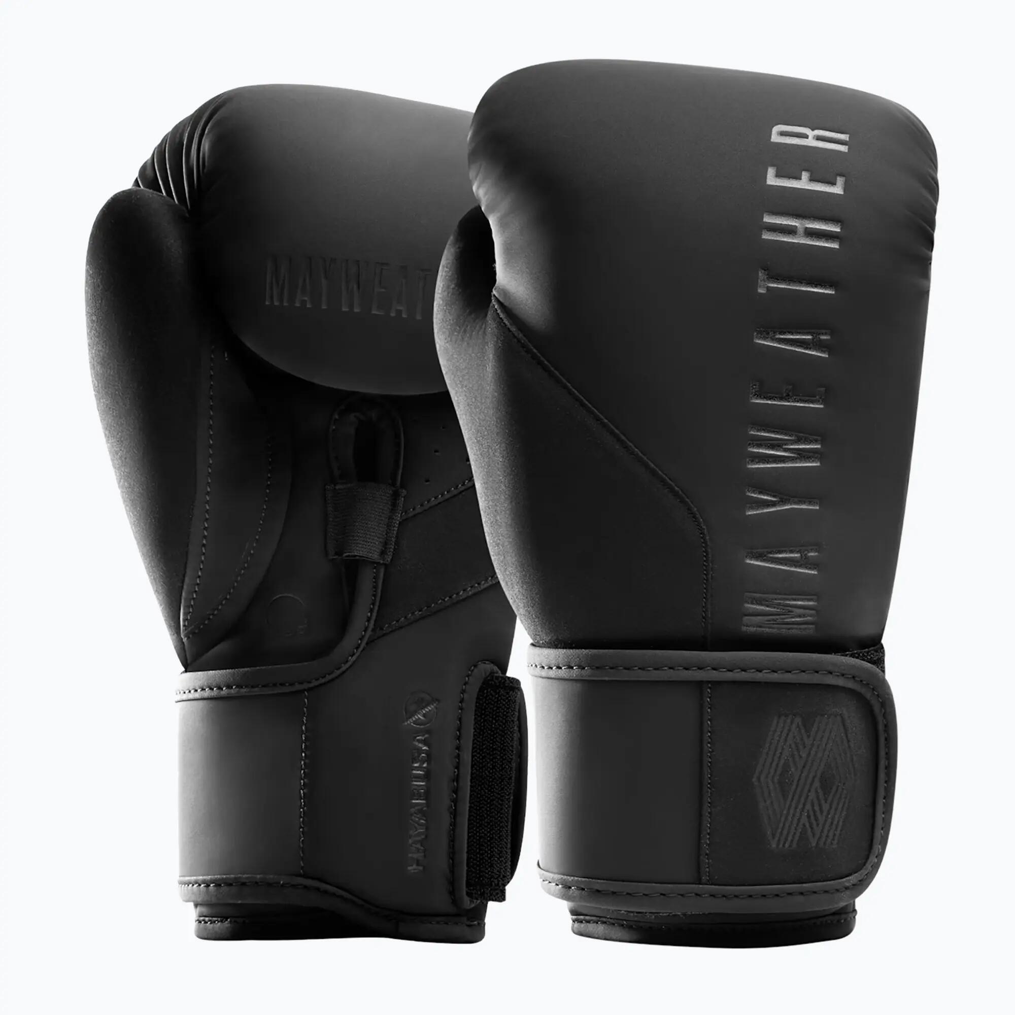 HAYABUSA picture