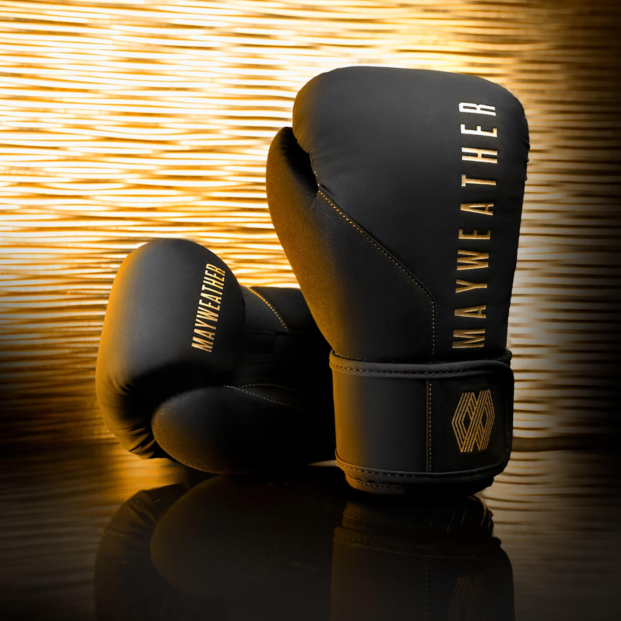 Rękawice bokserskie Hayabusa Mayweather Champ 2/5