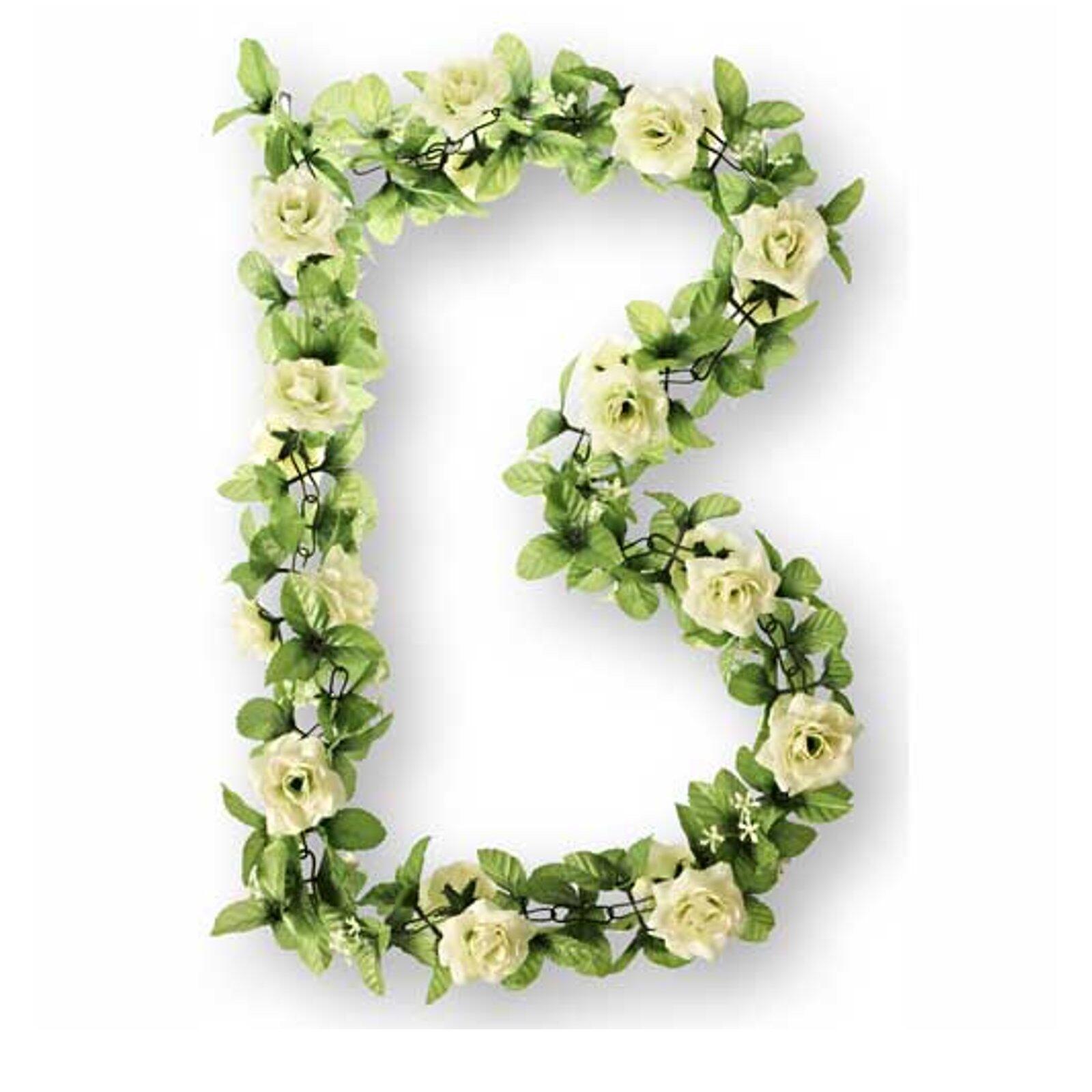 BASIL picture