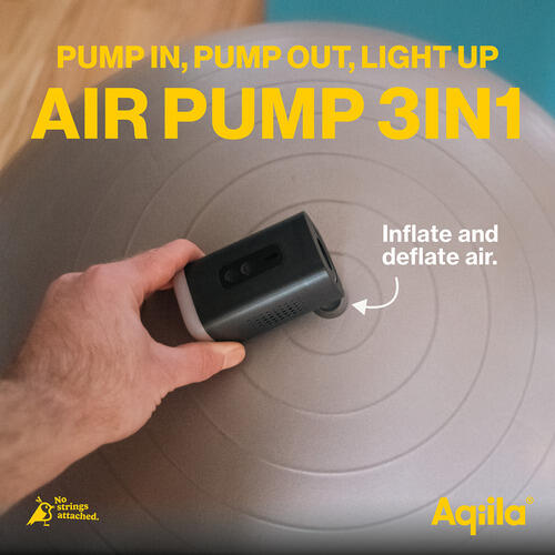 Pompe à air electrique C2 2/4