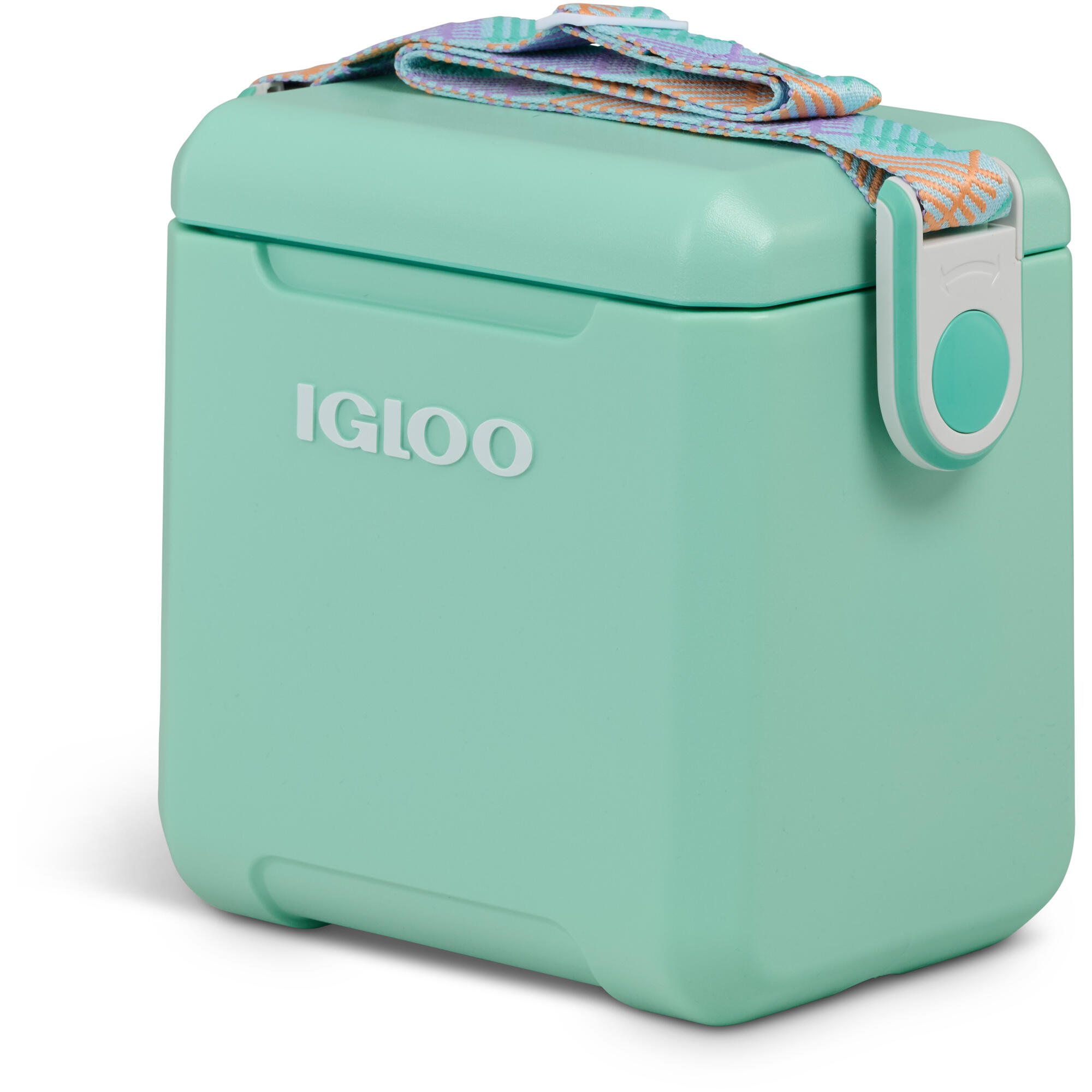 IGLOO picture