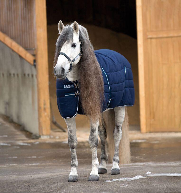HORSEWARE IRELAND picture