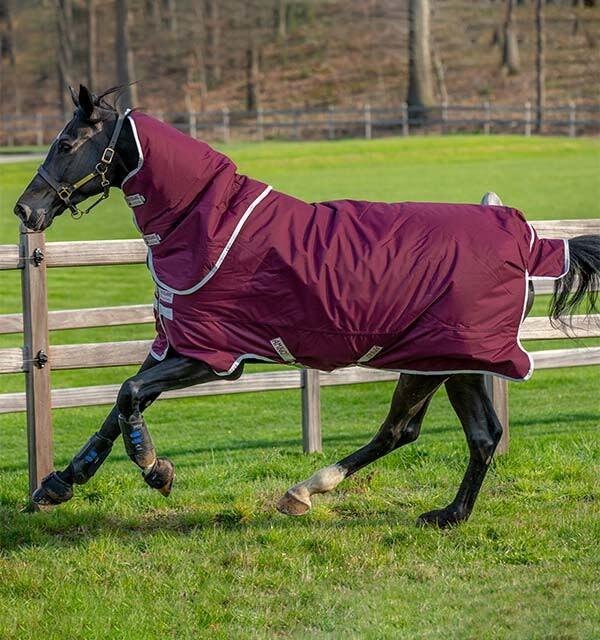HORSEWARE Horseware Amigo Hero Ripstop Plus Grijs