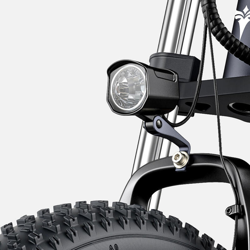 Vélo électrique ENGWE X26 avec double batterie 48 V 29 Ah