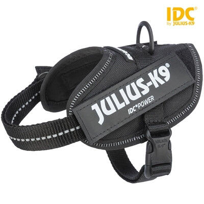 JULIUS-K9 picture