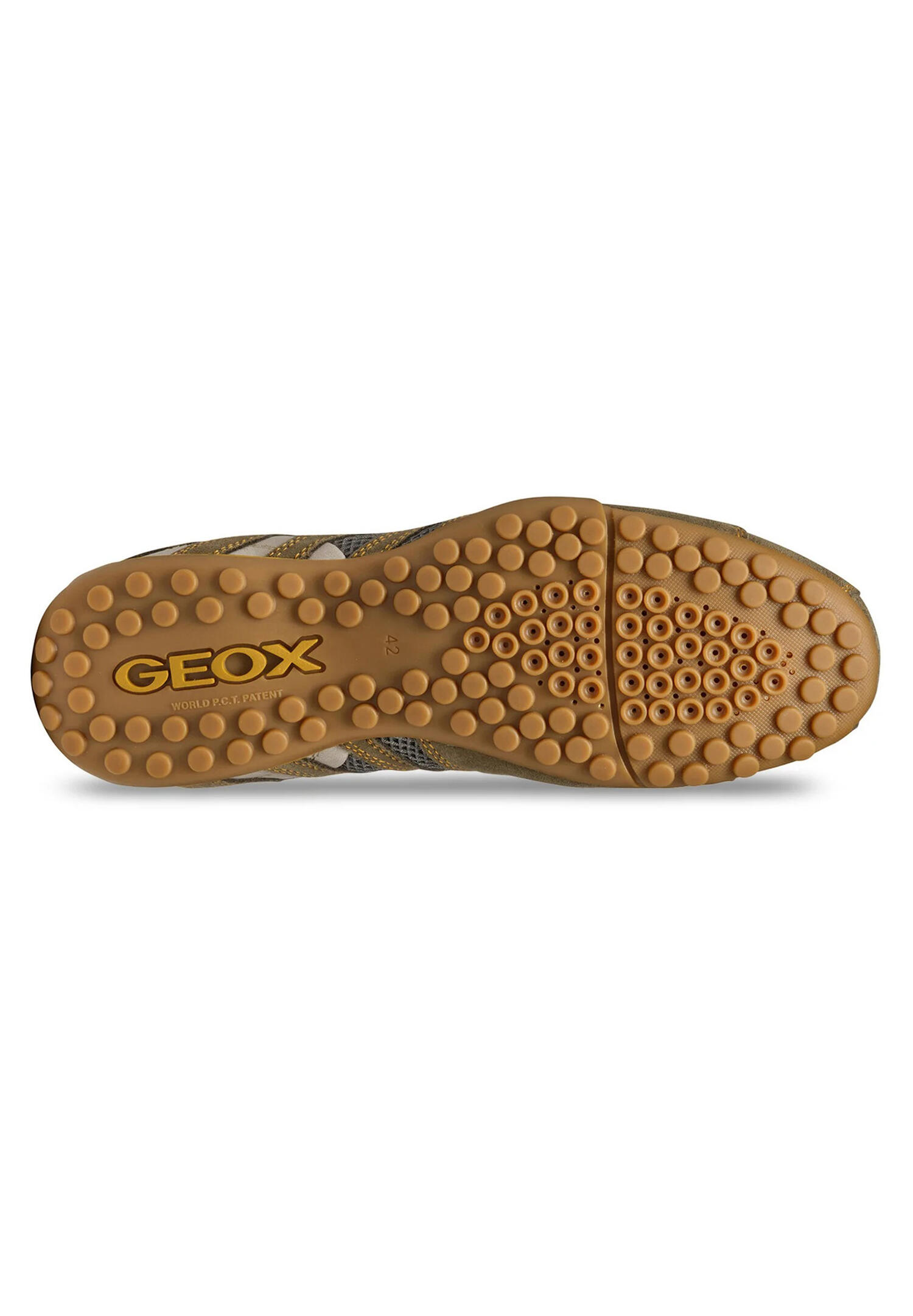 Chaussures Homme Baskets Geox Snake Vert Geox 5/7