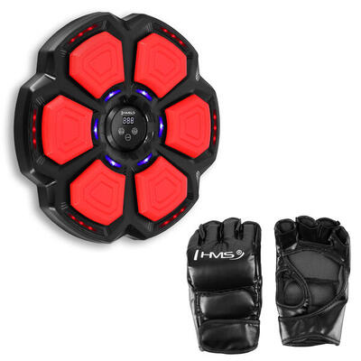 Elektronisch bluetooth bokstarget - met muziek & handschoenen