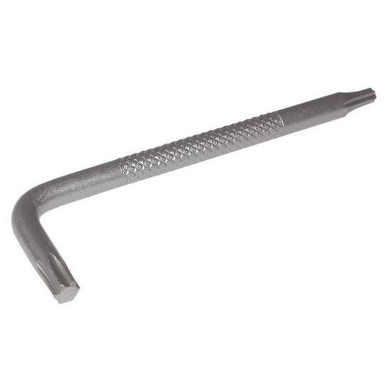 Llave Torx Avid para rotor T25 T10