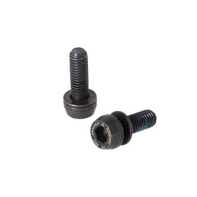 Campagnolo Schrauben für vorderen Bremssattel EC-DB008, 2 Stück
