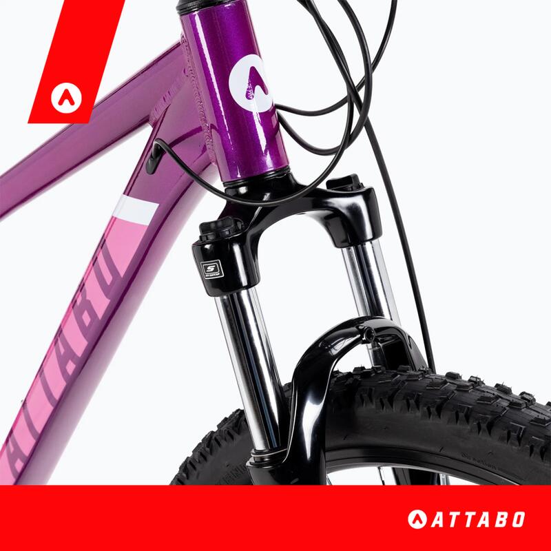 VTT femme ATTABO ALPE 3.0