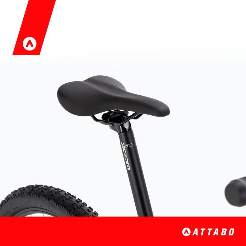 VTT femme ATTABO ALPE 3.0