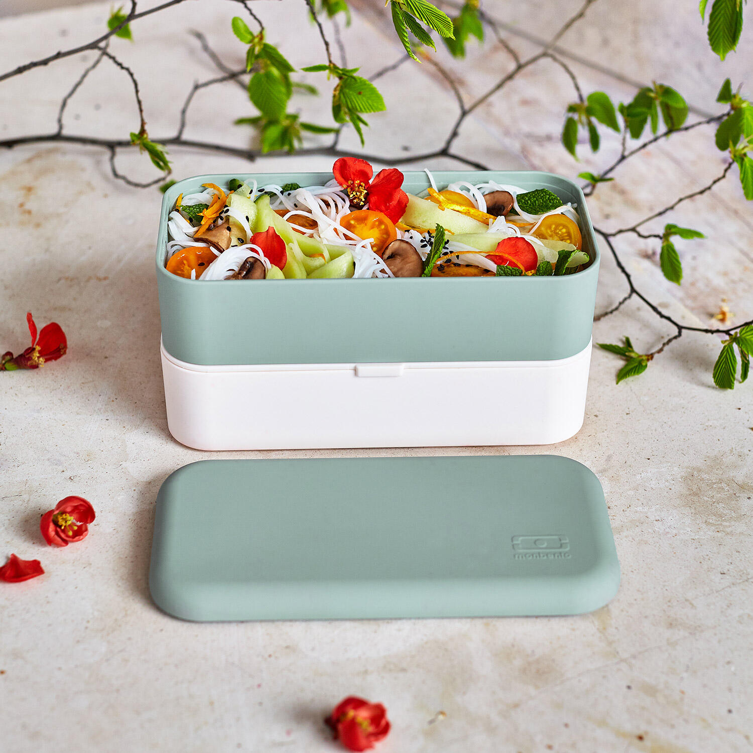 Boite repas 2x500ml - 1L|Adulte |Bureau, pique-nique|Made in France|Original 5/6