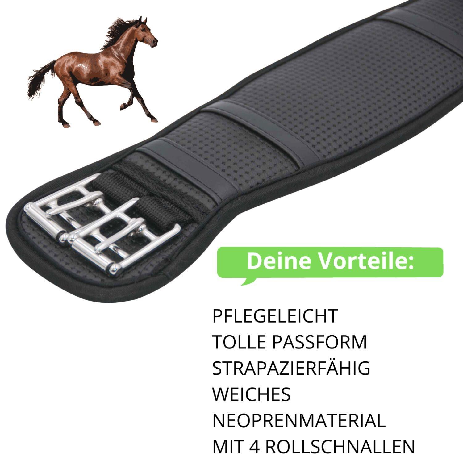 Harry`s Horse Sattelgurt 2/4