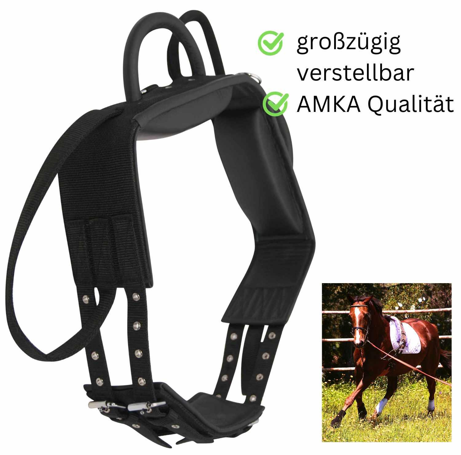 AMKA Voltigiergurt/Longiergurt 2/4