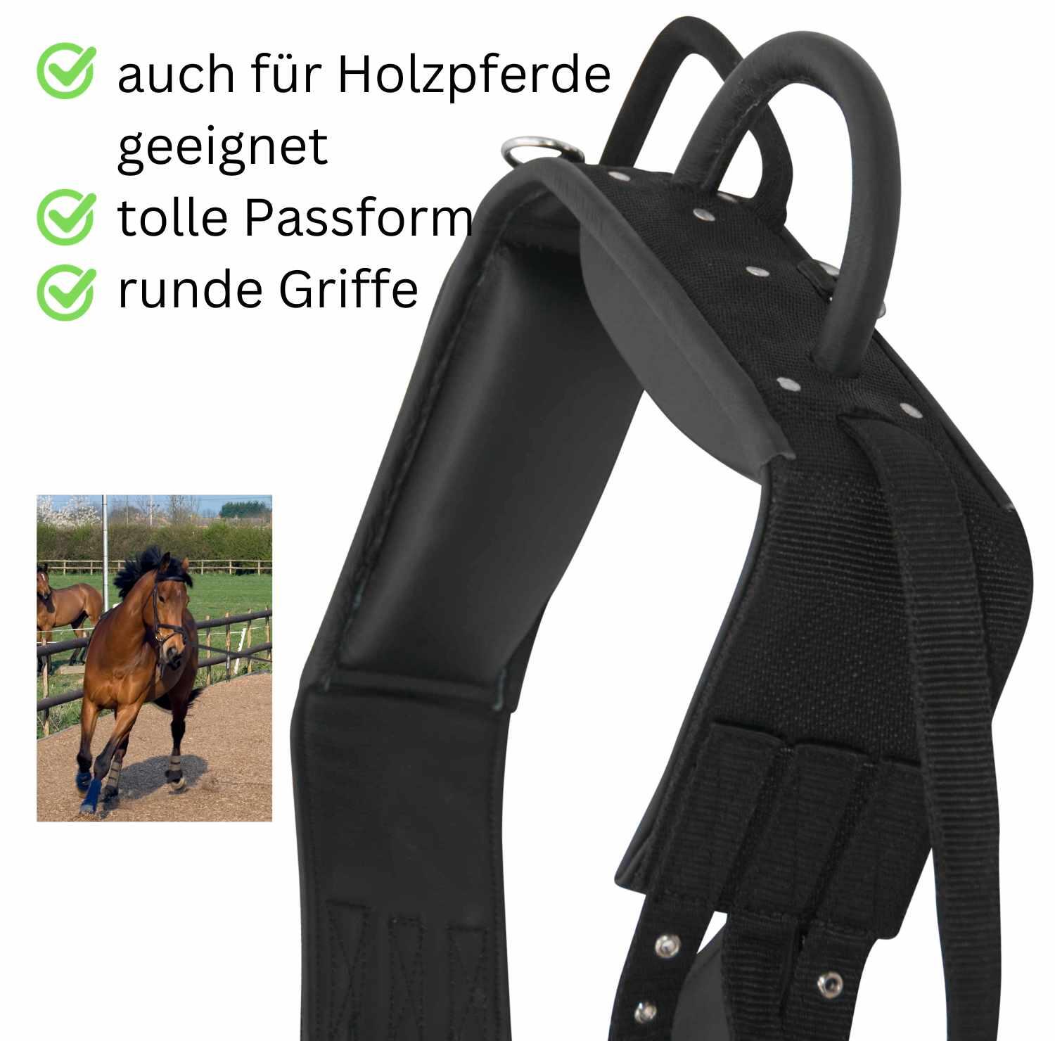 AMKA Voltigiergurt/Longiergurt 4/4