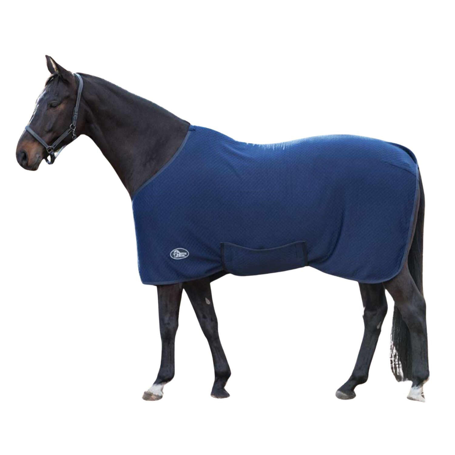 HARRYS HORSE picture